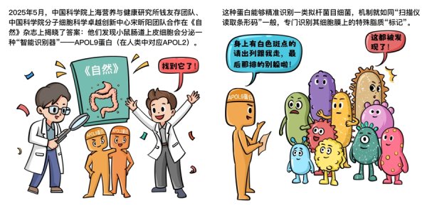 中国股票配资 “320大院”携手攻关：肠道的“权力游戏”里，竟有这样一位“细菌外交官”