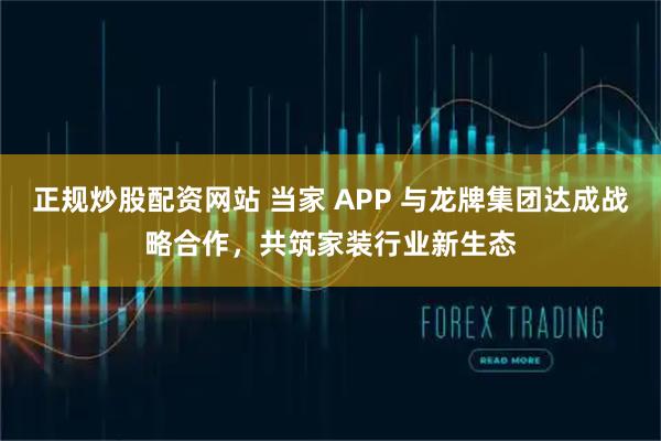 正规炒股配资网站 当家 APP 与龙牌集团达成战略合作，共筑家装行业新生态